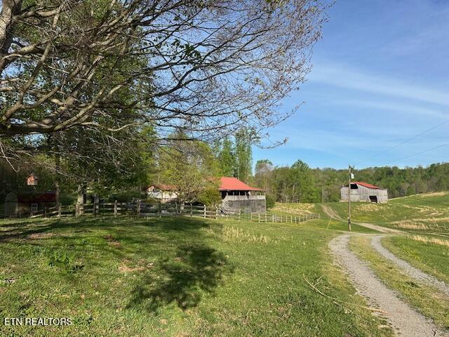 Image 2: IMG_1803 (1)
