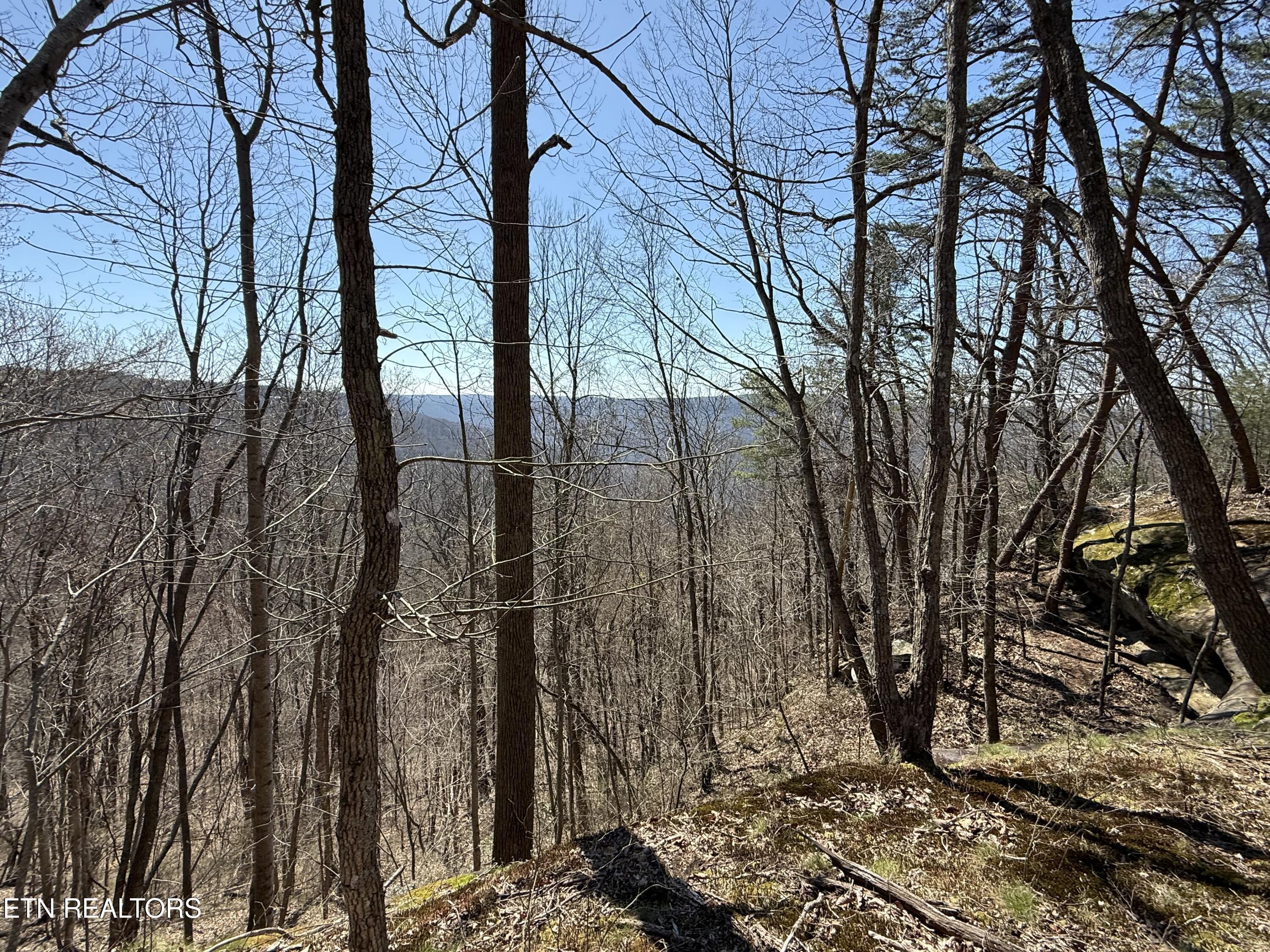 Image 2: IMG_1717