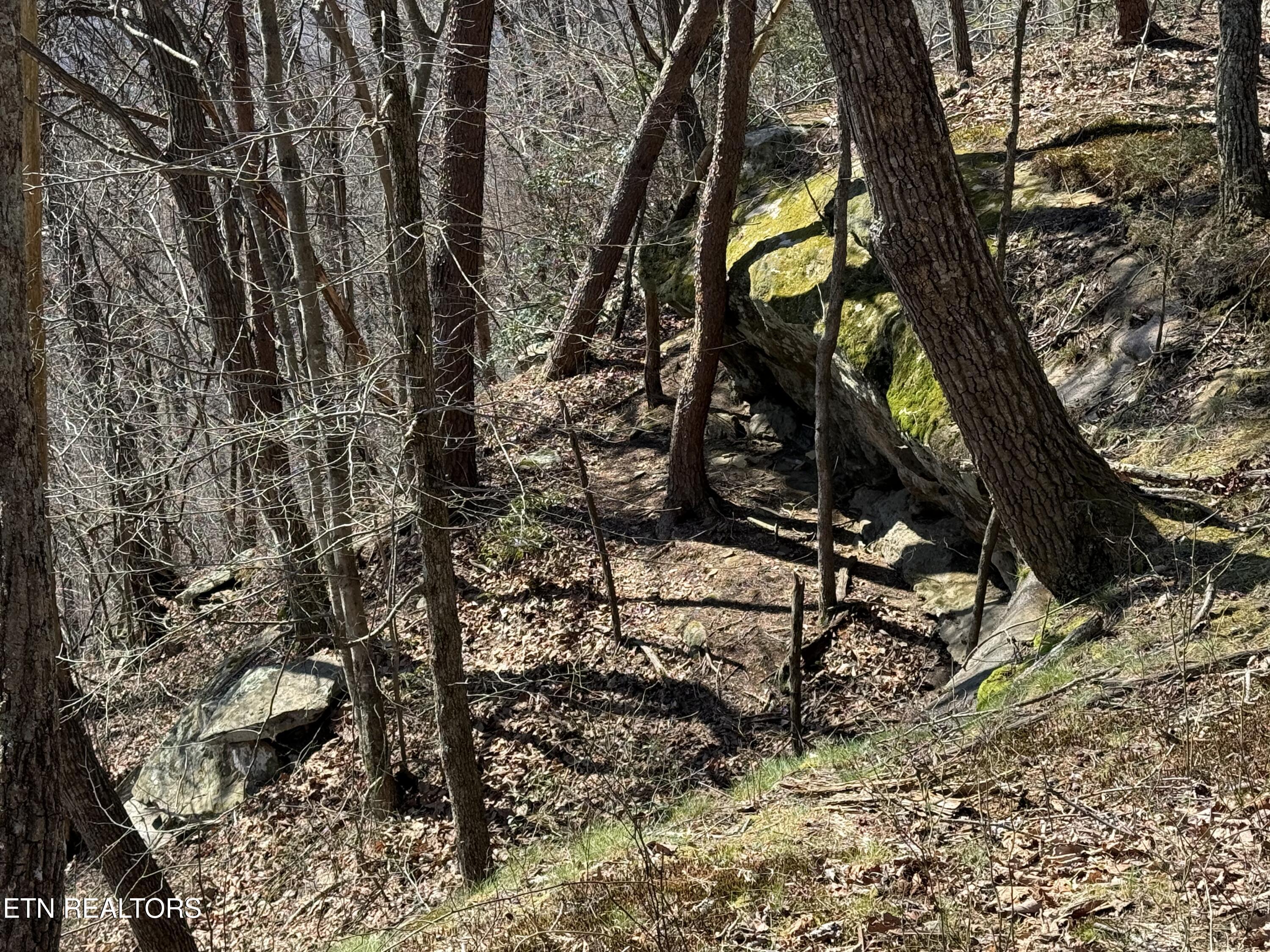 Image 3: IMG_1716