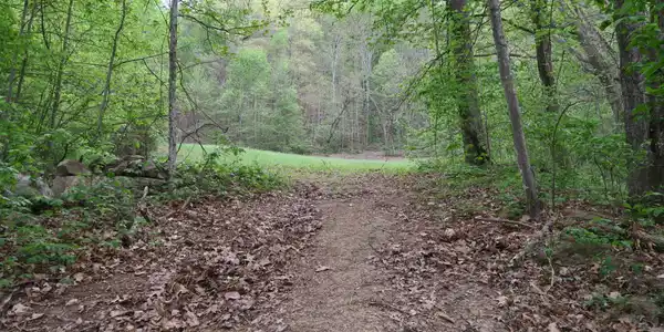 250 Mountain Side Lane