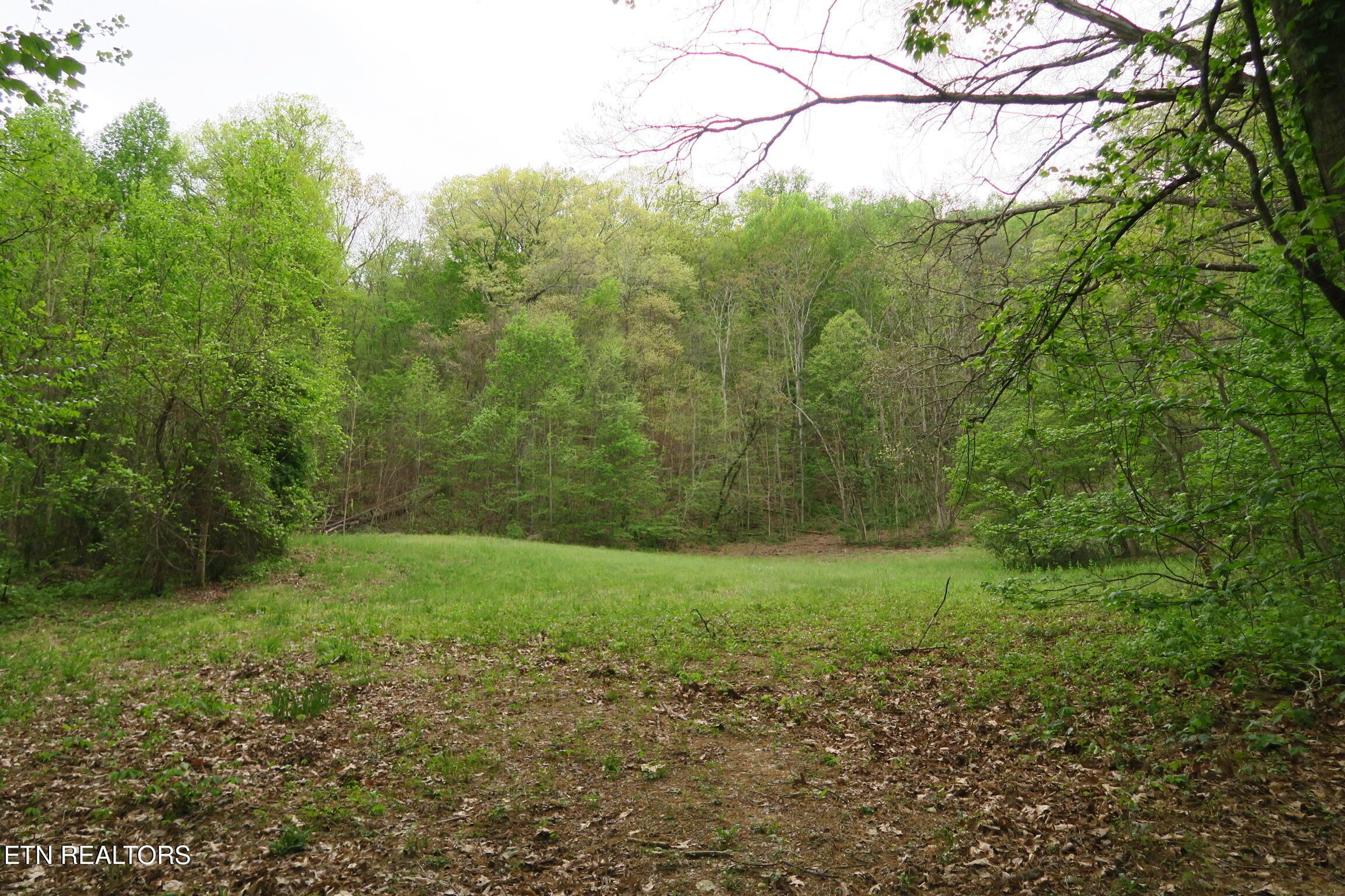 Image 4: IMG_3632