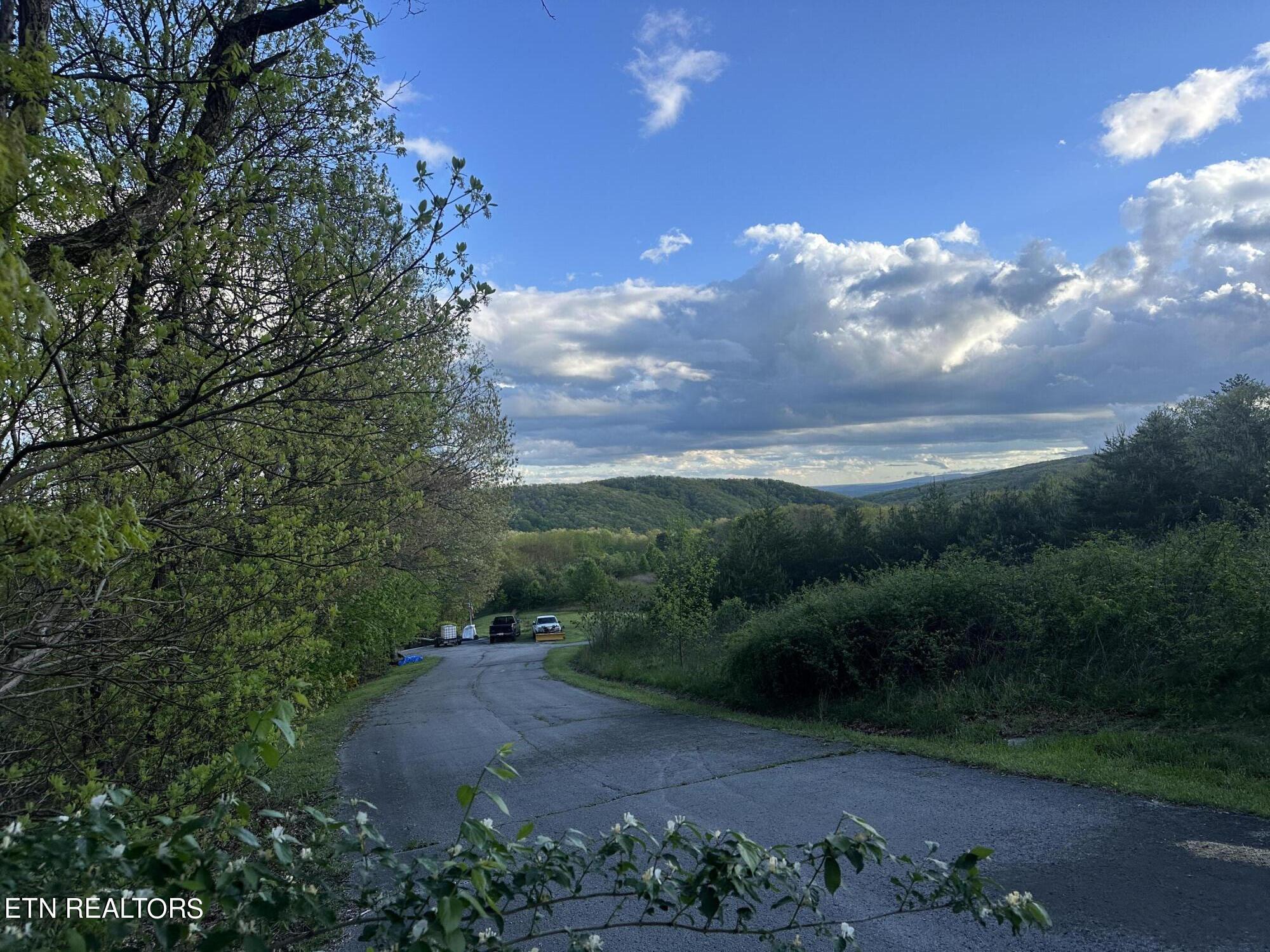 Image 4: IMG_7568