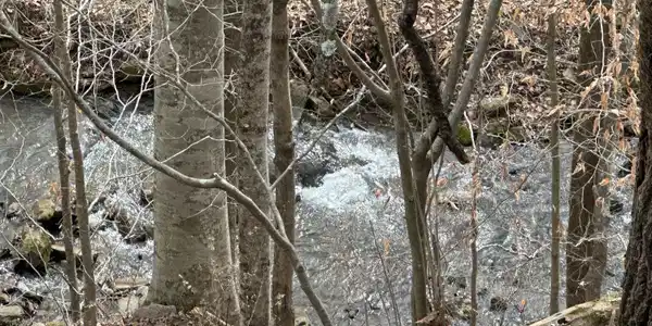 AJ Osborne Hwy