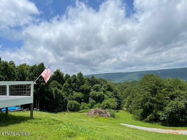 Image 3: Unobstructed Mtn Views