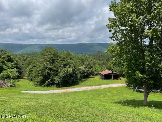 Image 4: Just added back Driveway