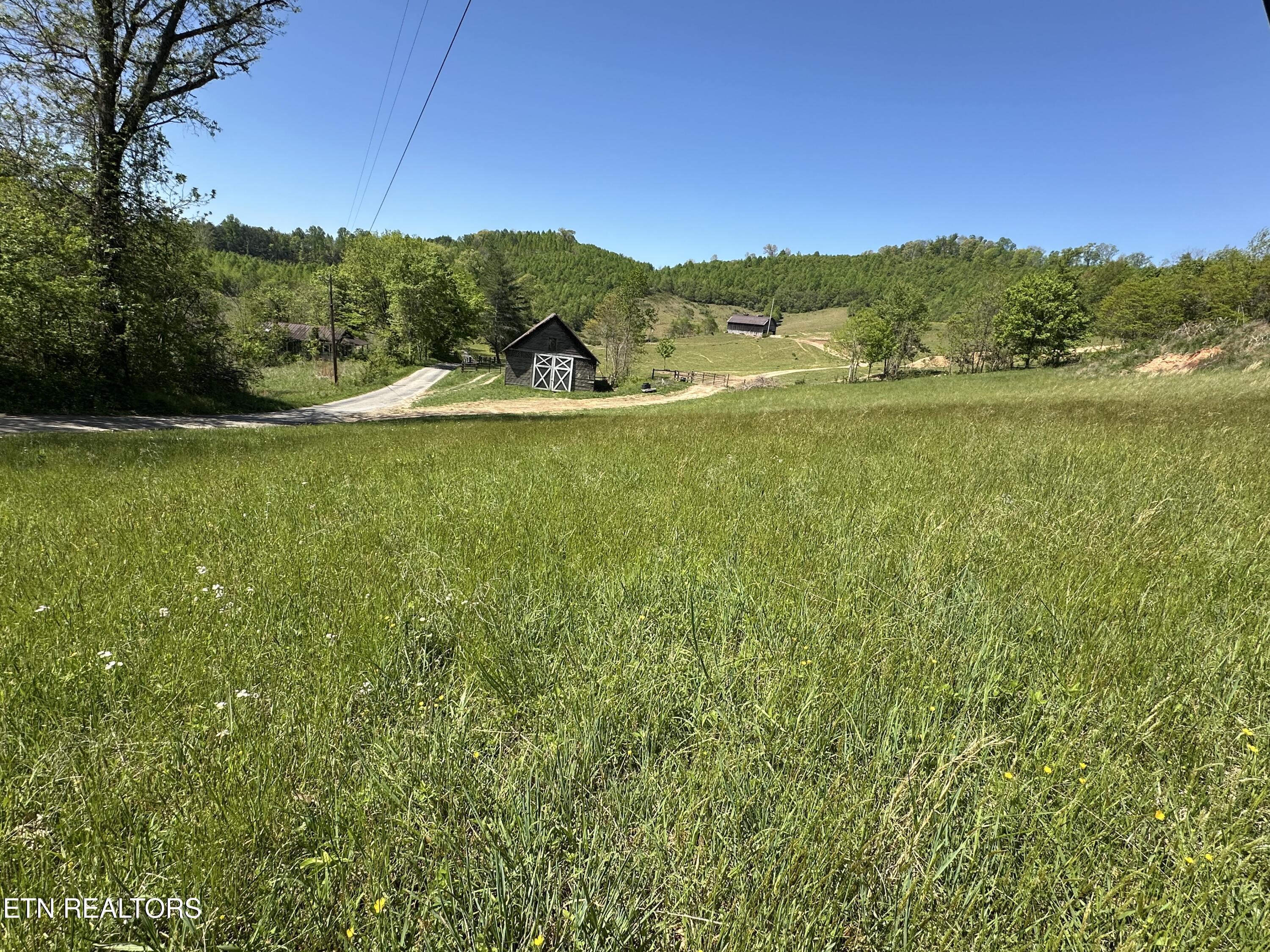 Image 3: IMG_2161