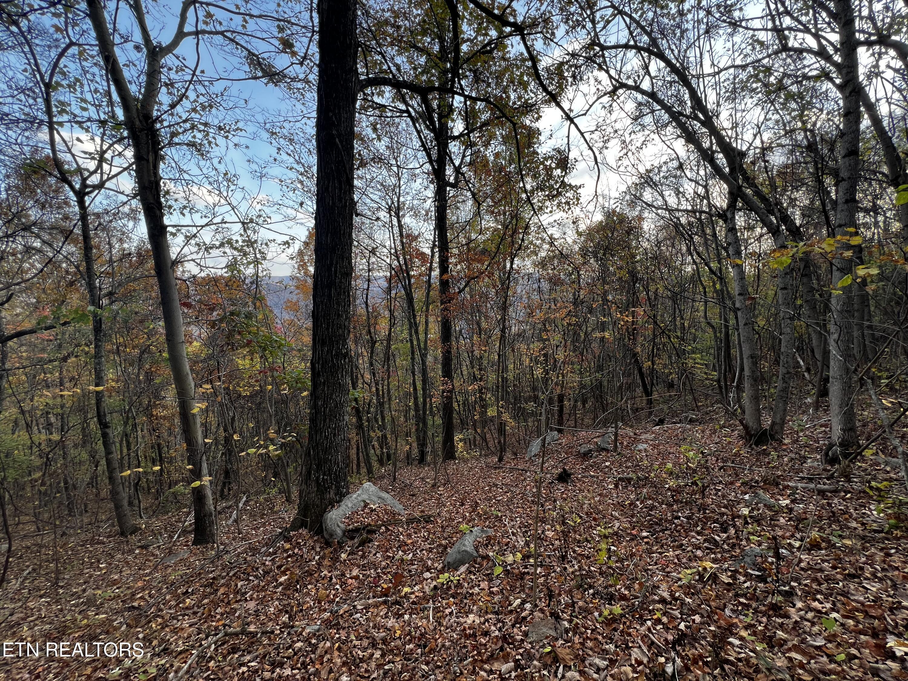 Image 2: Lot 675