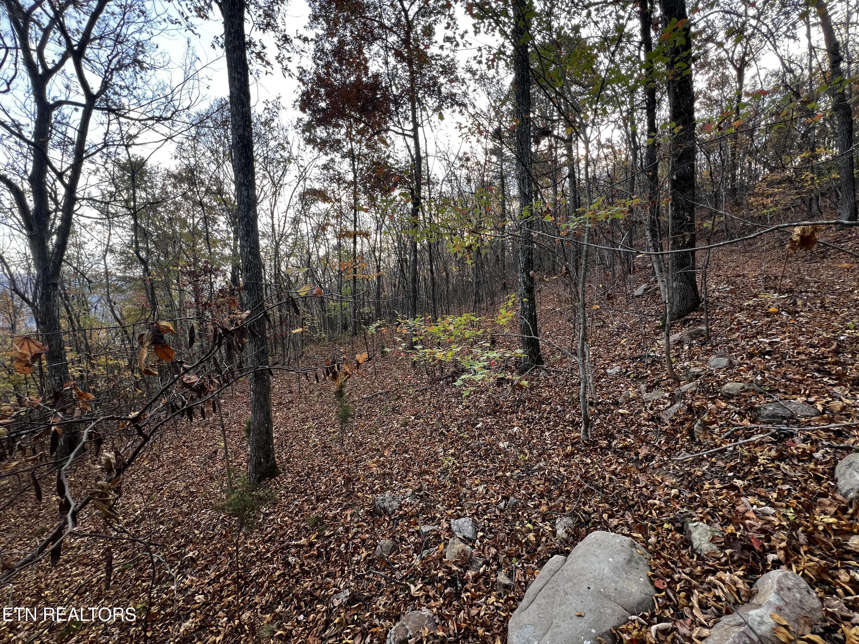 Image 3: Lot 675