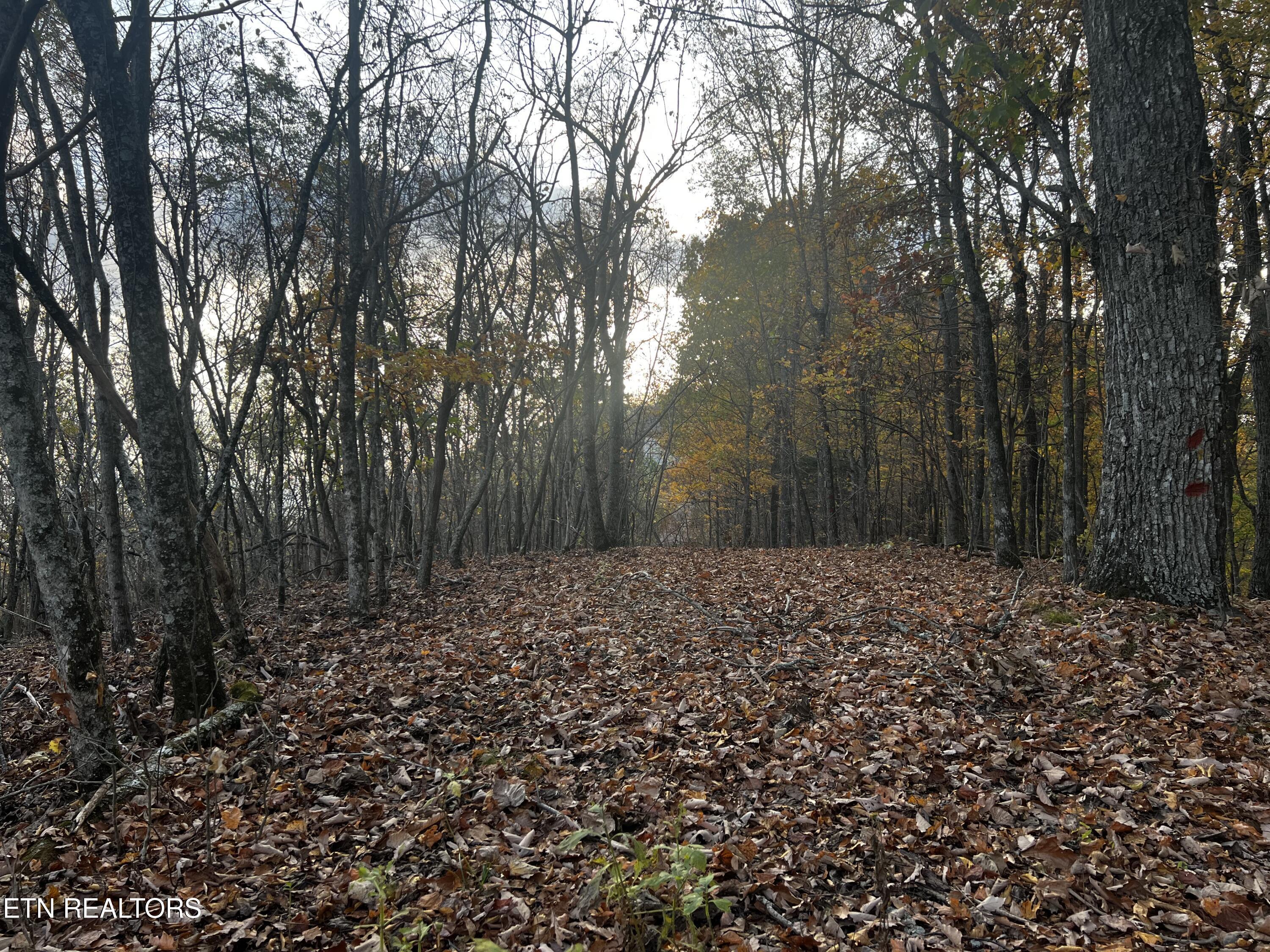 Image 4: Lot 675