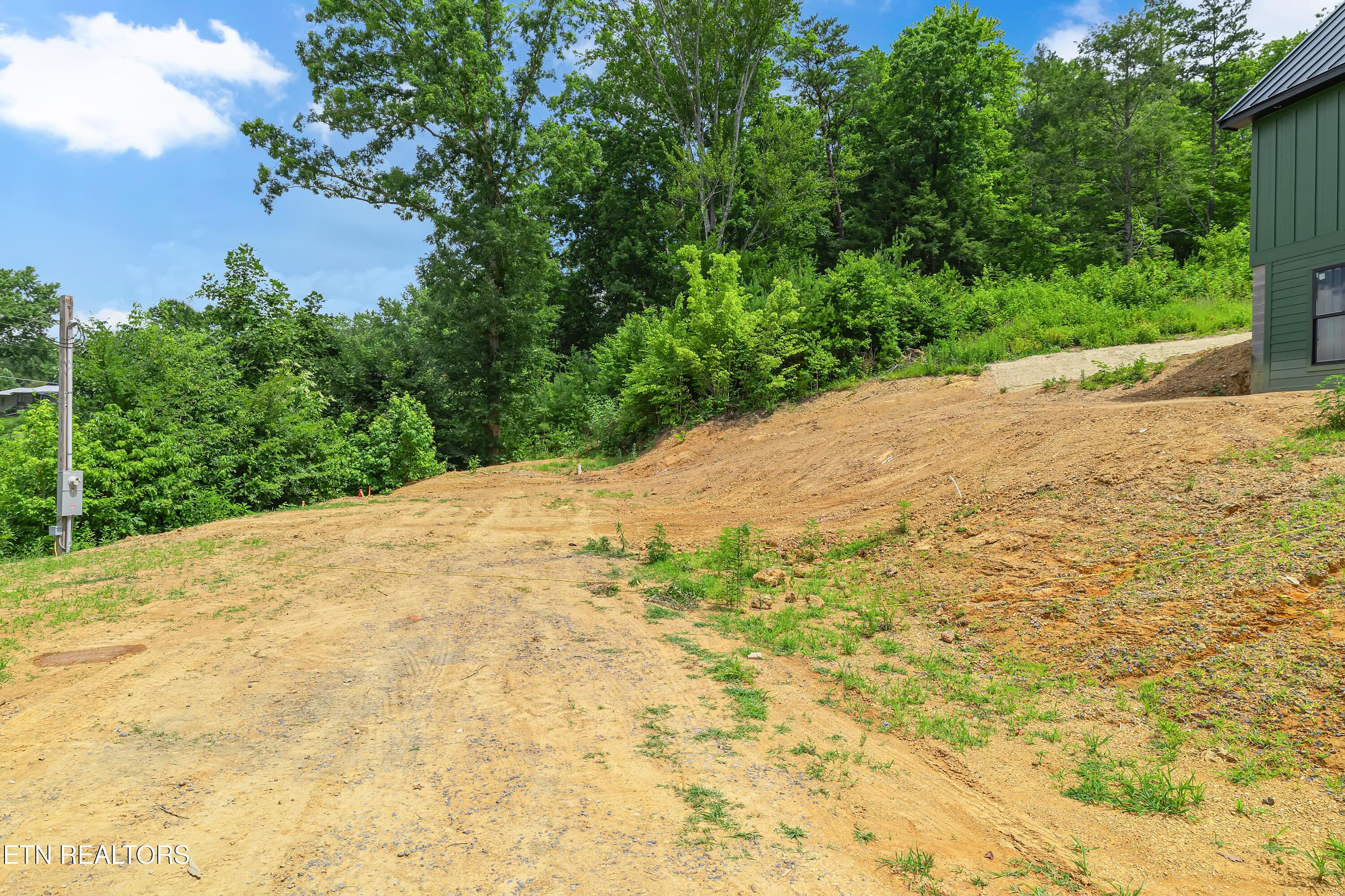 Image 4: Future Pickleball/BB Court