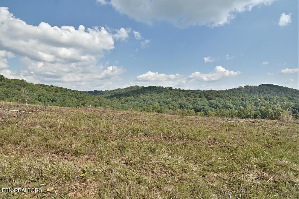 Image 3: Lot 64 Pinnacle