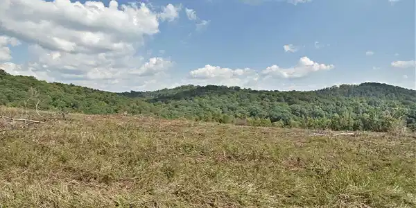 Image 3: Lot 64 Pinnacle