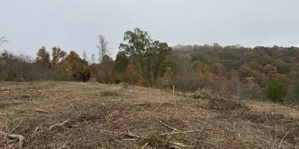 Image 4: Pinnacle Ln Lot 64 view 1