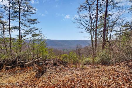 1309 Wind Rush Way