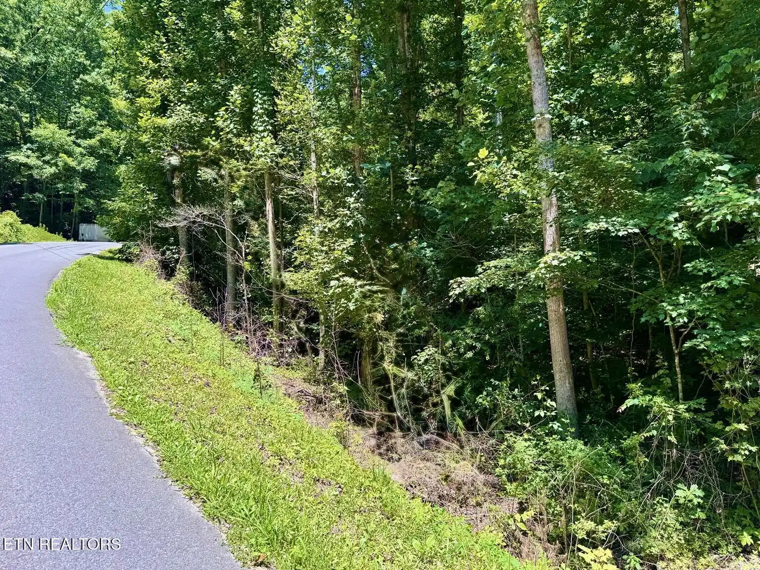 Image 1: Road edge 2