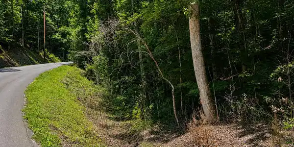 Image 2: Road edge 1
