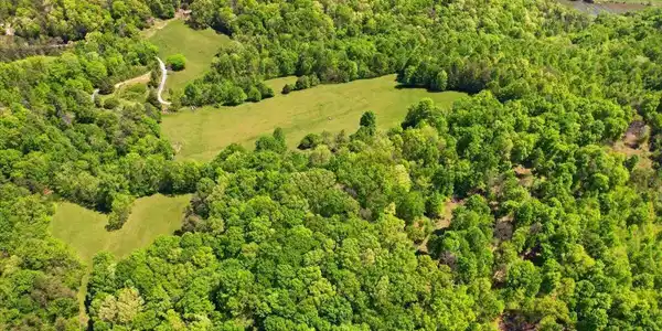 Image 3: 11-April_drone_photos_006