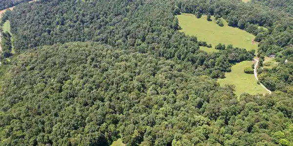 Image 4: 03-DJI_0879