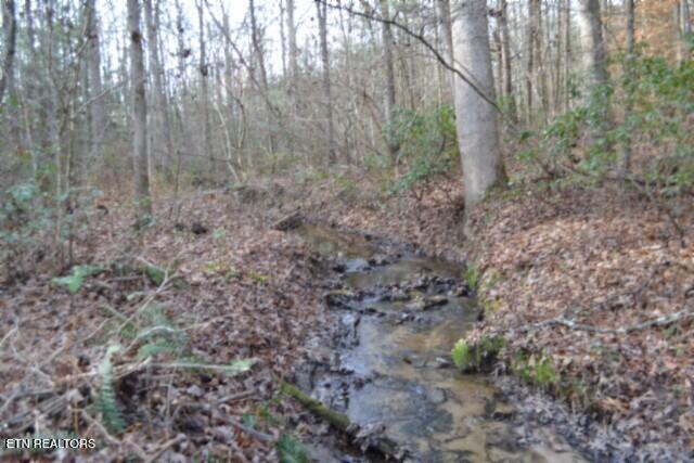 Image 2: BEST OF CREEK