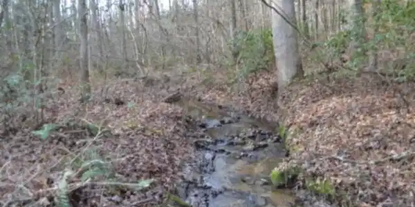 Image 2: BEST OF CREEK