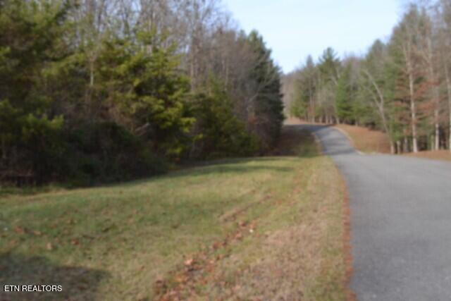Image 4: DSC_0002