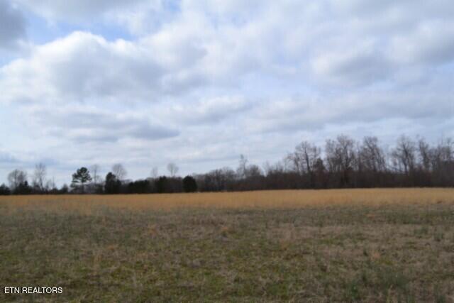 Image 2: DSC_0038