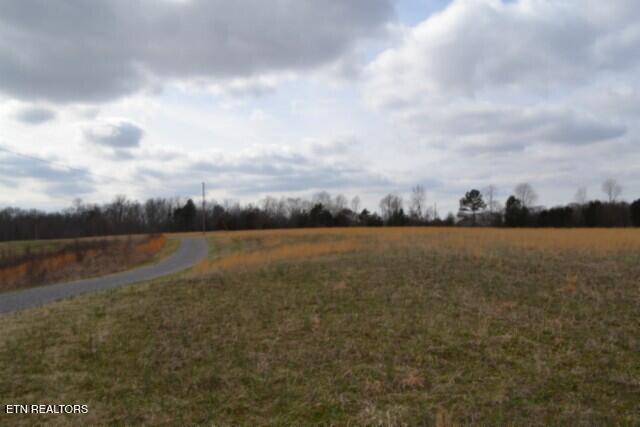 Image 3: DSC_0039