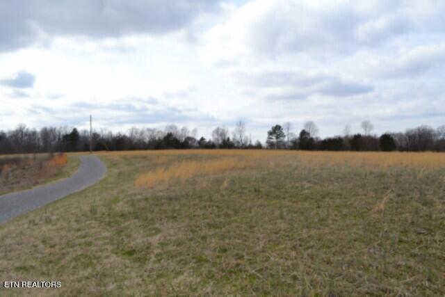Image 4: DSC_0040