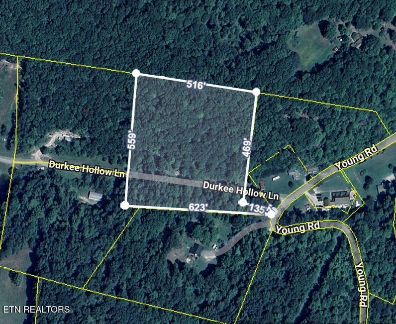 Image 1: Land overview