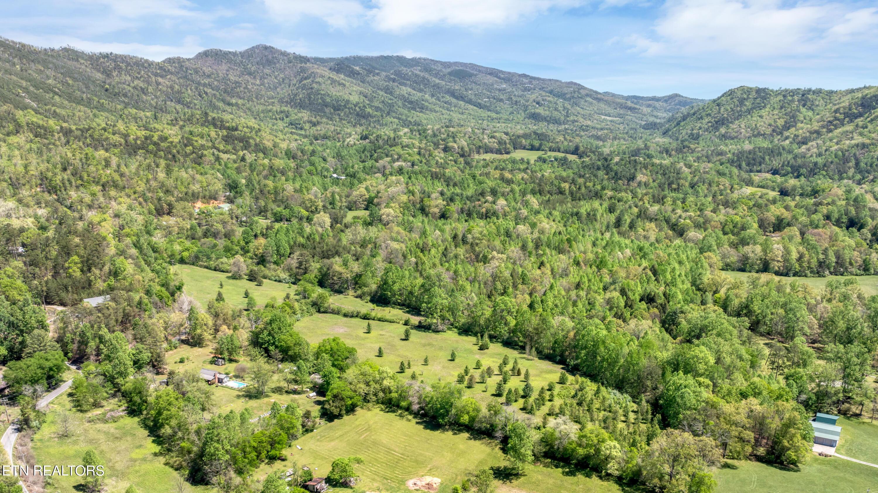 Image 4: Lot 1