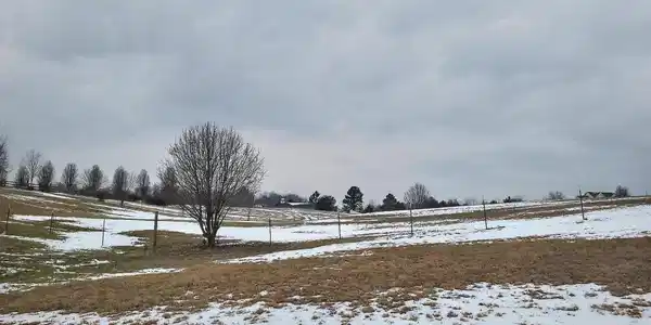3750 Sinking Creek Rd