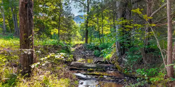 Image 3: 018-4885Tennessee131-Washburn-TN-37888-S