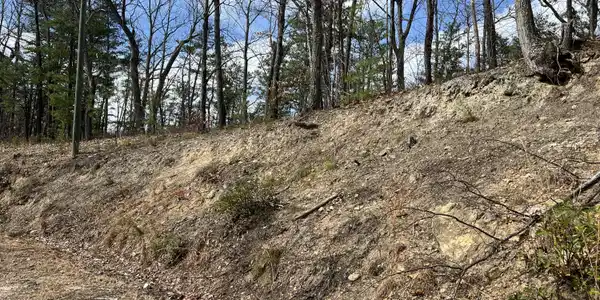 Chestnut Ridge Court