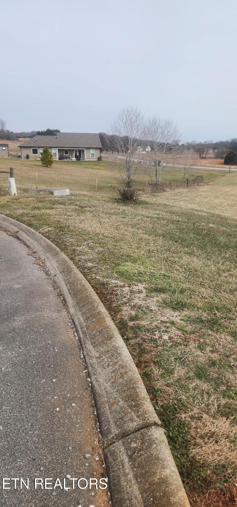 Image 3: MAGNOLIA WAY 1