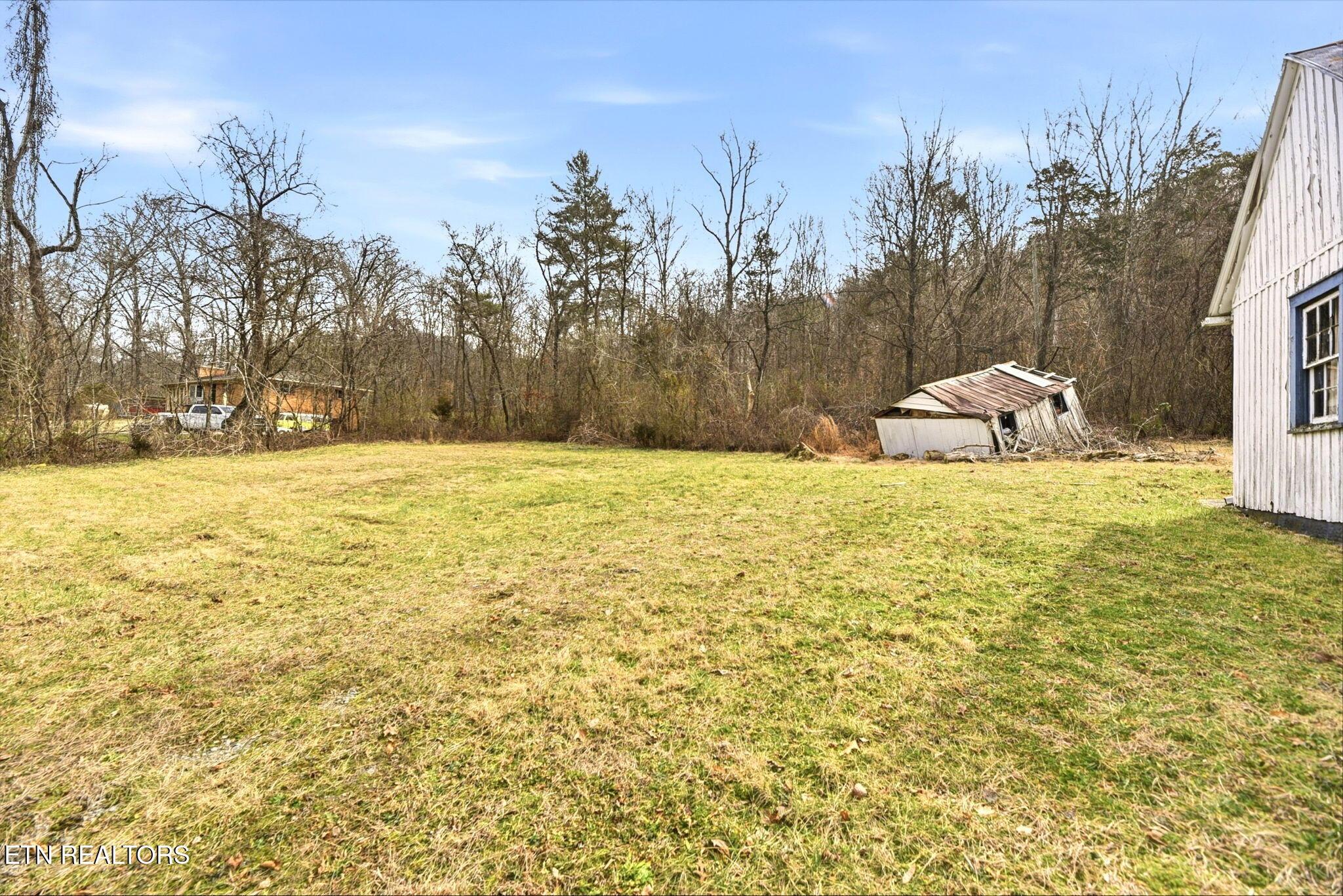 Image 4: 5-web-or-mls-Mllr2942 (1)