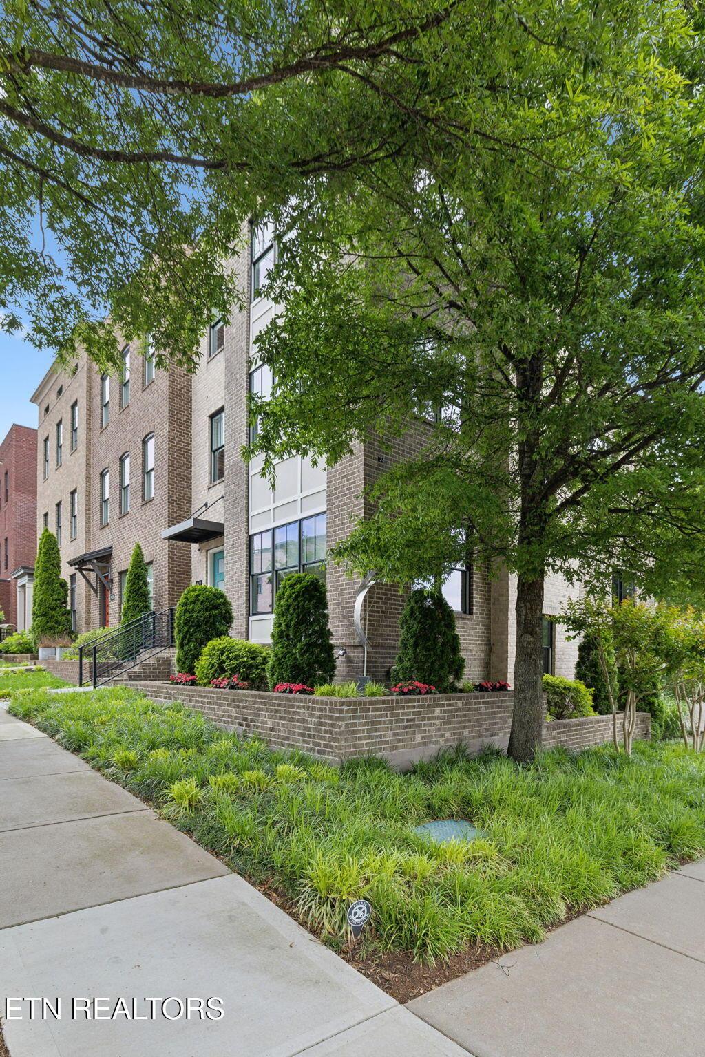 Image 2: 6-web-or-mls-9432 Clingmans Dome - 006