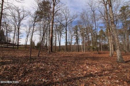 Lot 4 Cliffmont