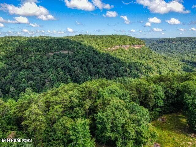 Image 2: Pouge Creek Natural Area