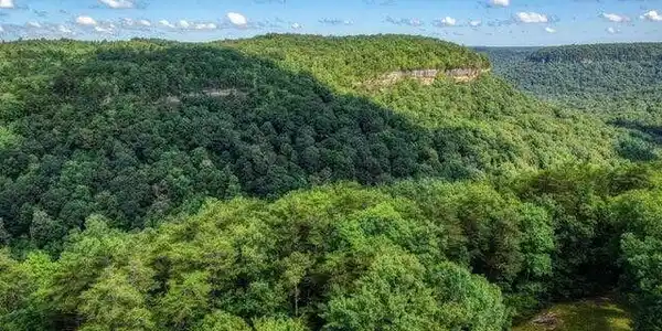 Image 2: Pouge Creek Natural Area
