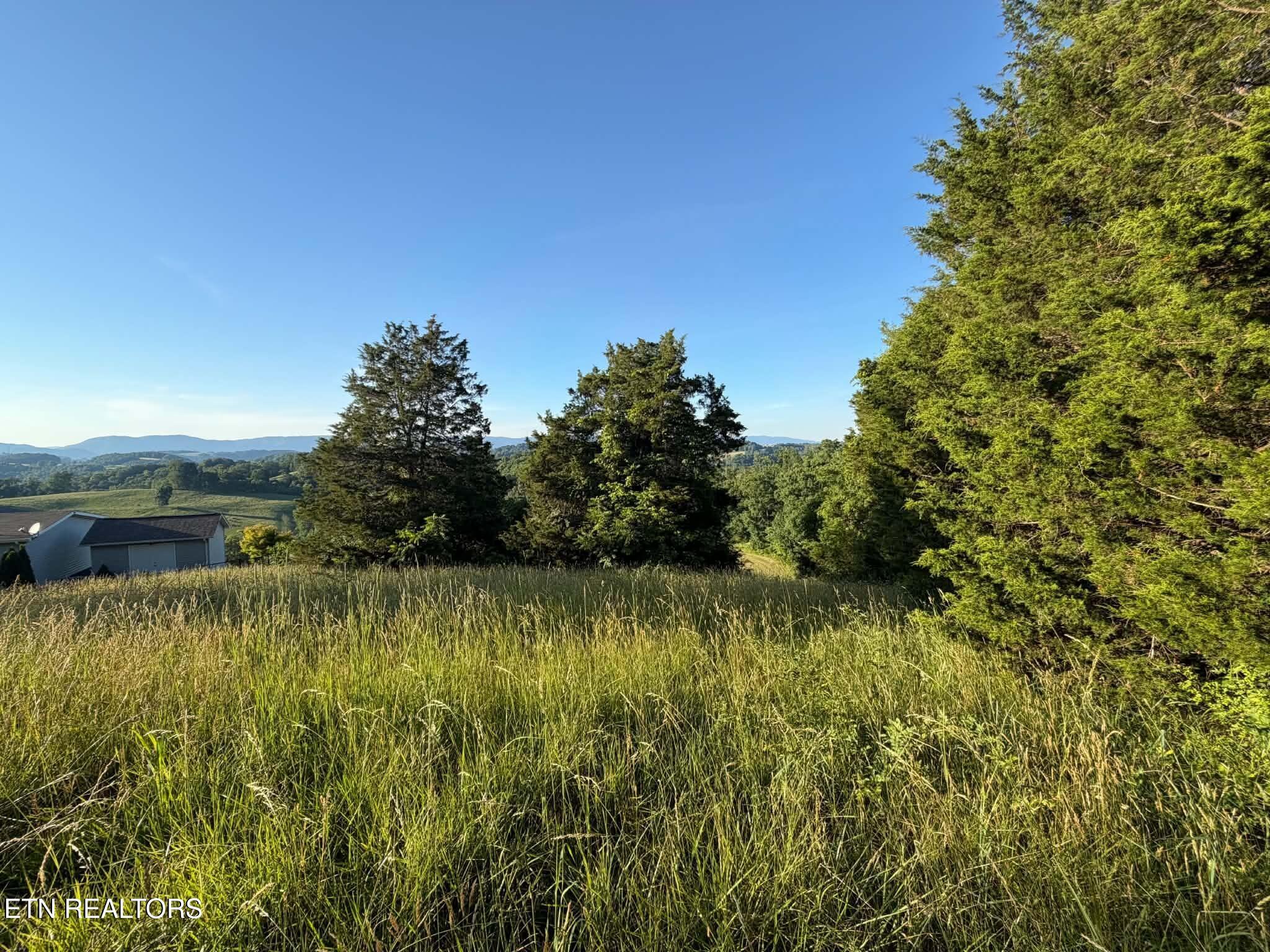 Image 2: 526b8ba6-3aec-422f-a84d-7f012e18f828