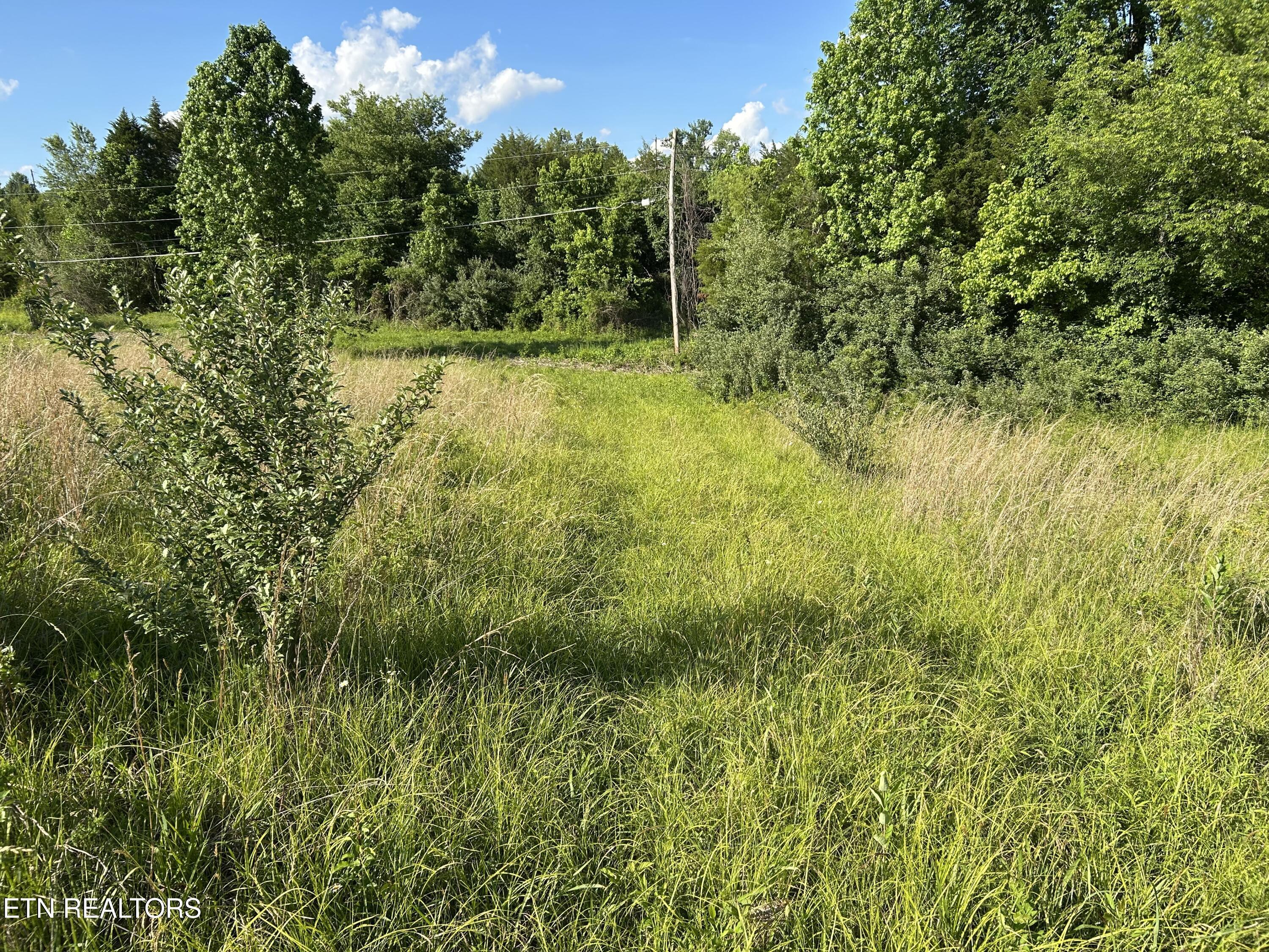 Image 3: IMG_0330