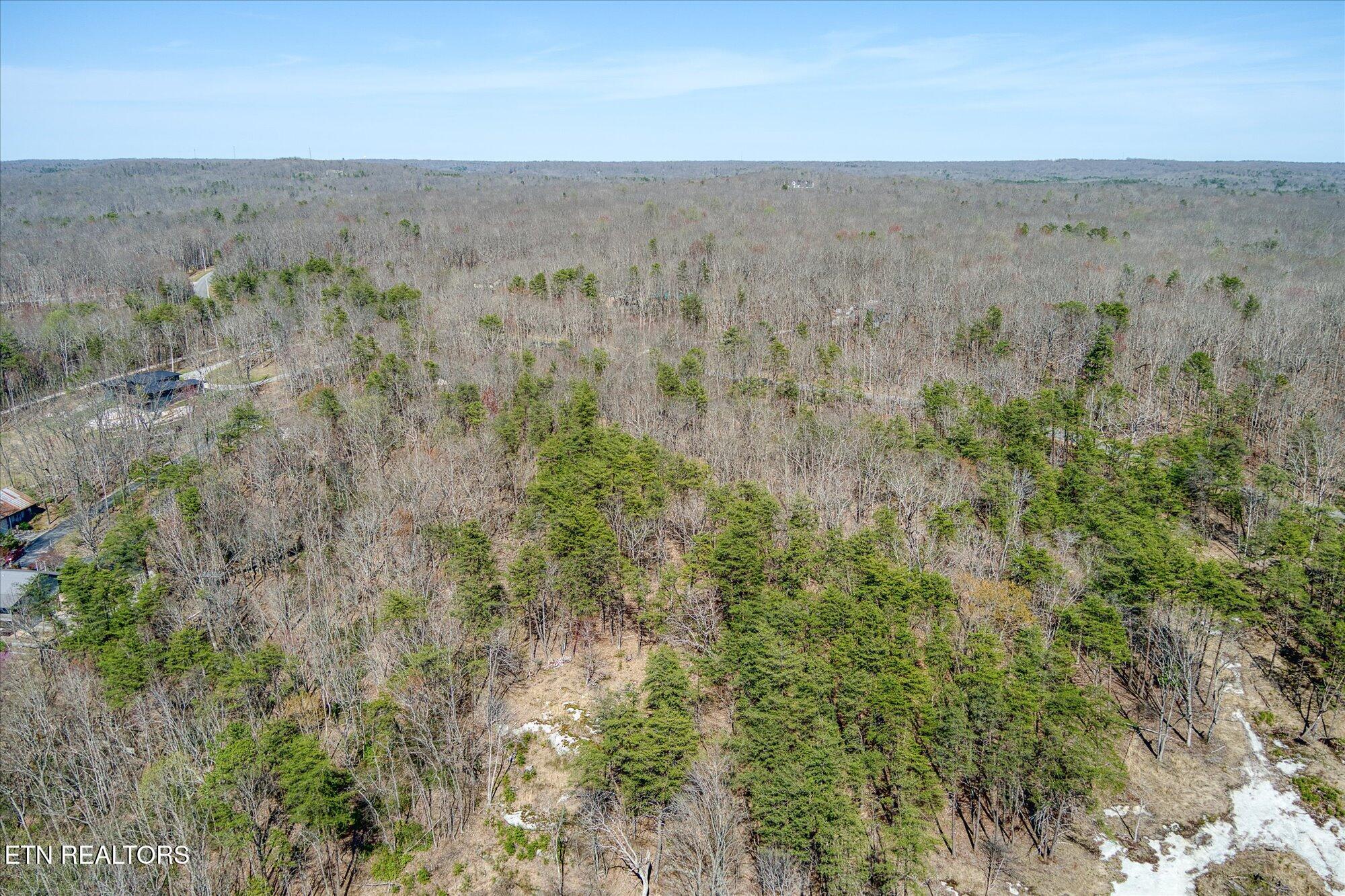 Image 3: 7-1560 E Overlook Rd_TNPC_033