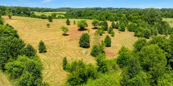 Image 2: DJI_0081-HDR