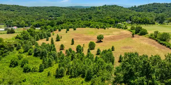Image 3: DJI_0091-HDR