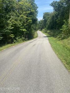 44 acres Sheep Bluff Rd