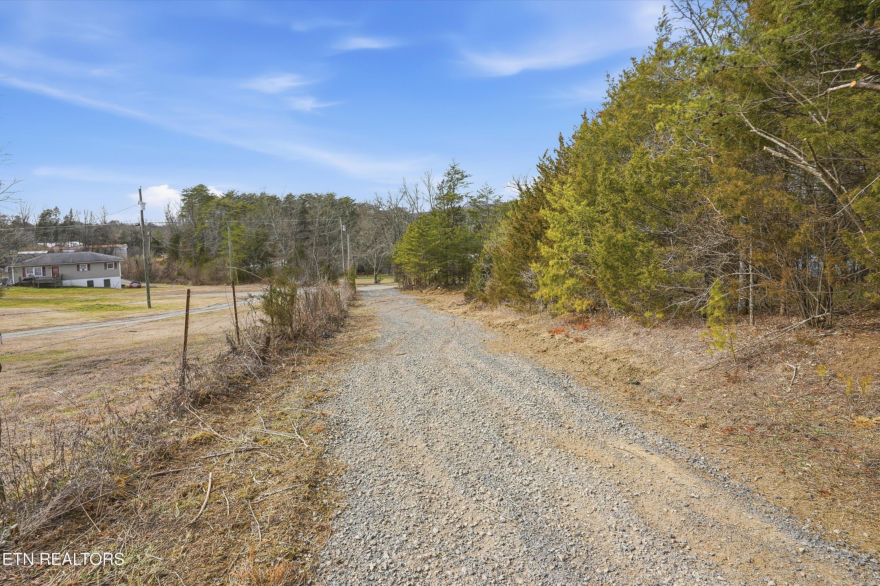 Image 3: 03-1518 Tom McCall Rd-3