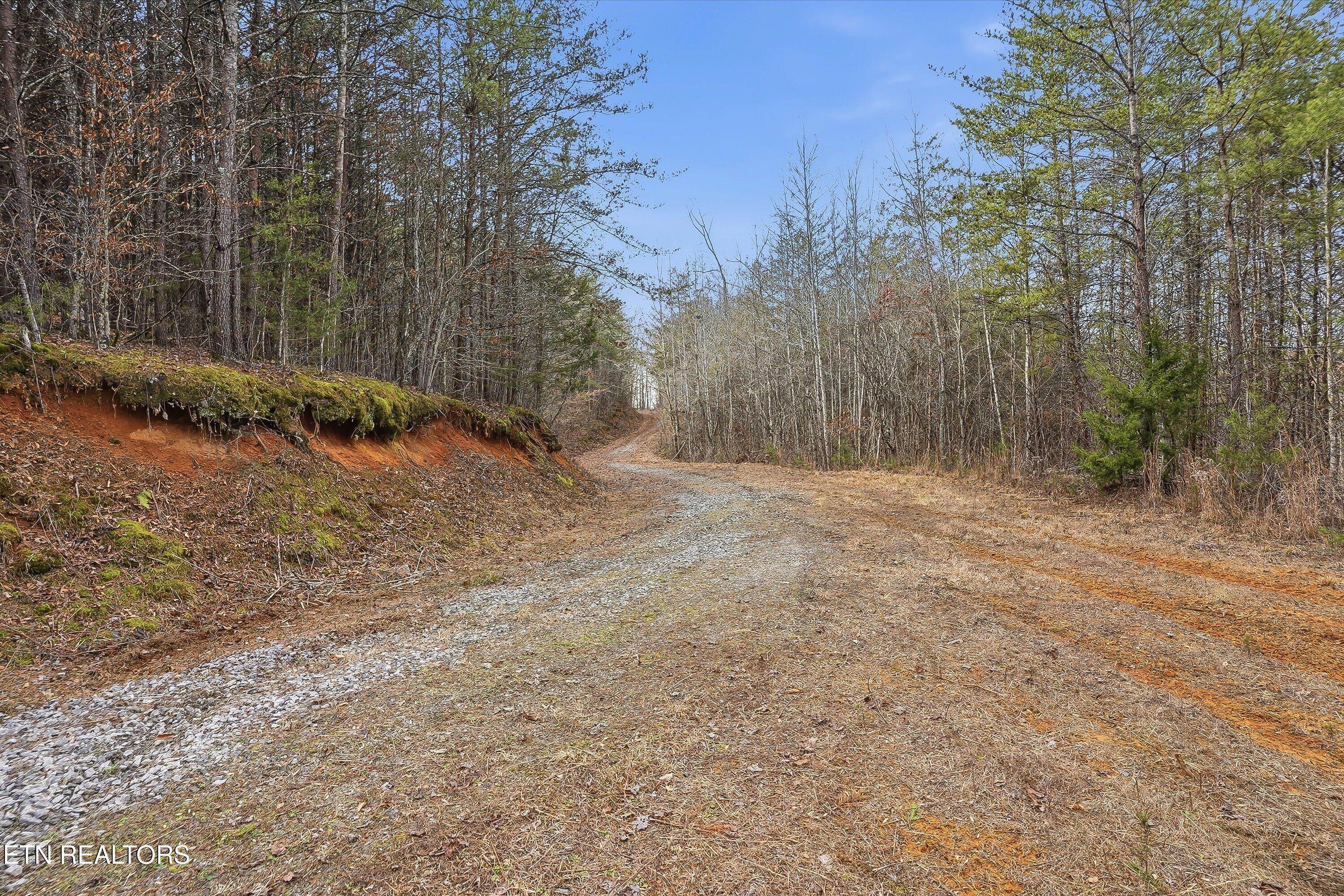 Image 4: 04-1518 Tom McCall Rd-4