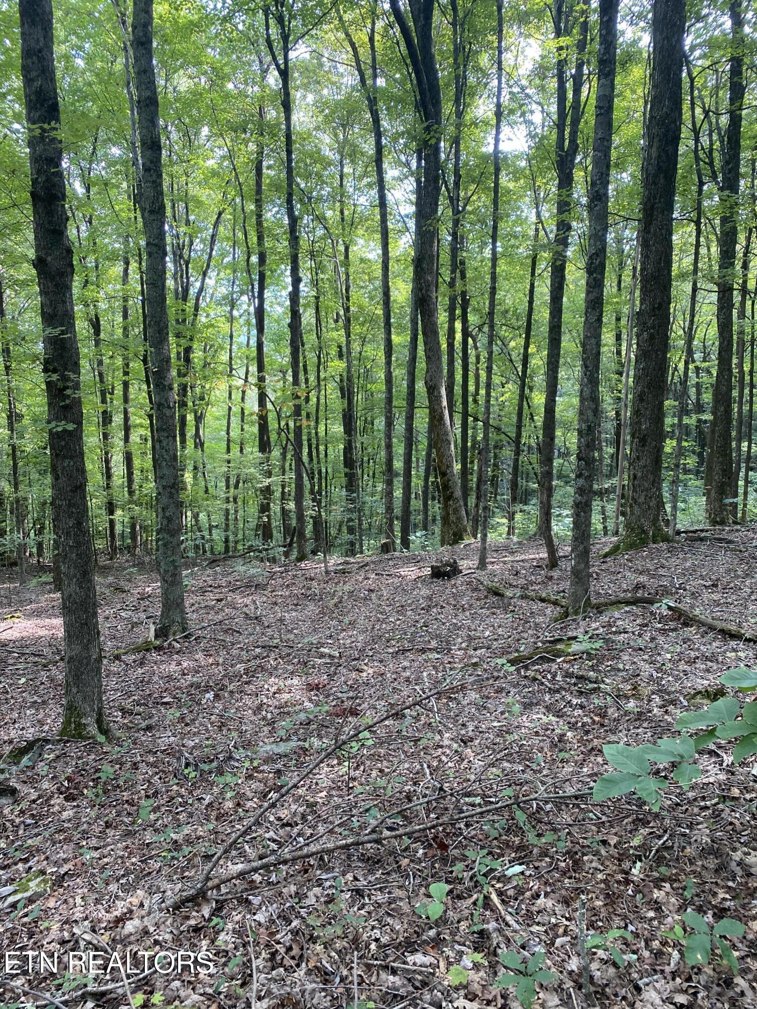 Image 3: IMG_2928