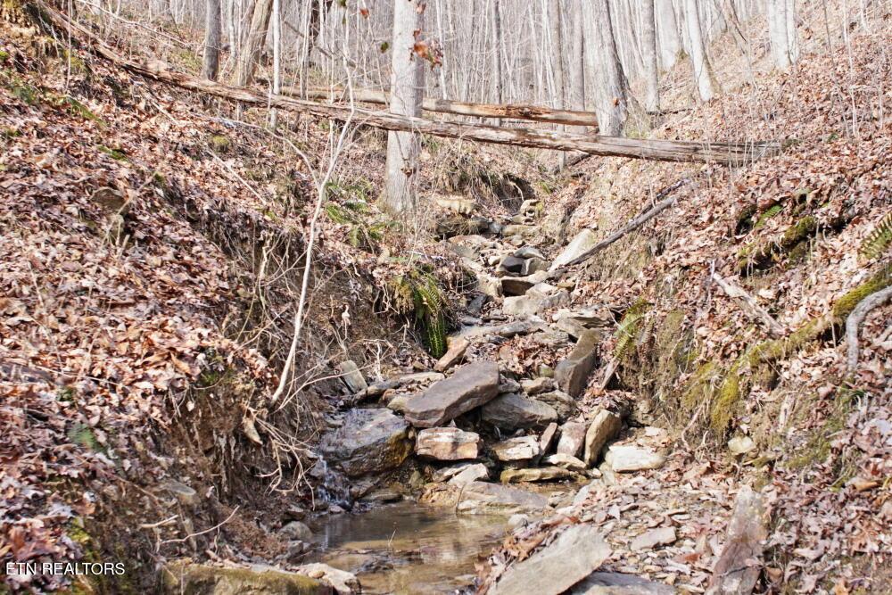 Image 4: IMG_0571