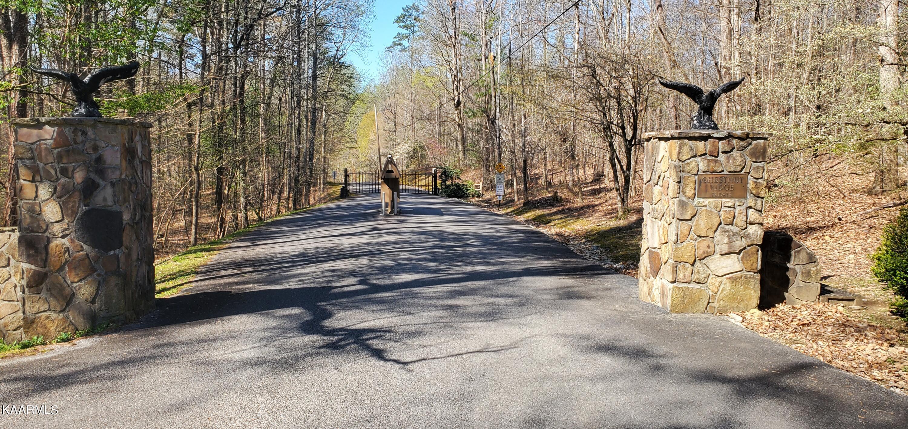 Image 1: 1 Gates at Chestnut Ridge 1